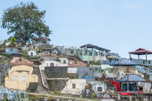 Birds, Butterfly, Funghi, Gecko, Insects, Landscape, Moth, Mount Kinabalu, Nature, Orchids, Photography, Sabah, Travel, Wilderness, Wildlife