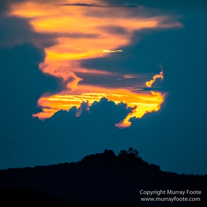 Buffy Fish Owl, Gibbon, Hornbill, Infrared, Landscape, Leopard cat, Nature, Parrot, Photography, Rhinoceros, Sabah, Tabin, Travel, Wilderness, Wildlife