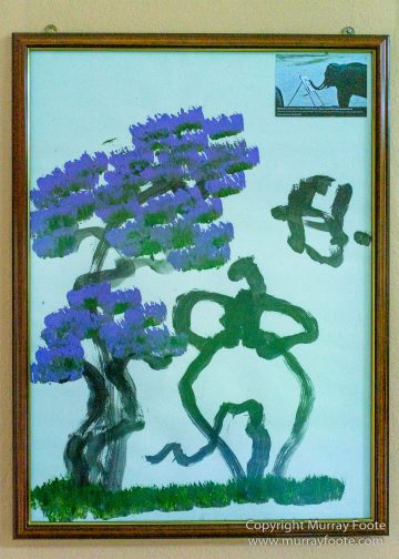 Buffy Fish Owl, Gibbon, Hornbill, Infrared, Landscape, Leopard cat, Nature, Parrot, Photography, Rhinoceros, Sabah, Tabin, Travel, Wilderness, Wildlife