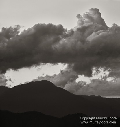 Black and White, Butterfly, Hornbill, Infrared, Landscape, Monochrome, Nature, Orang Utan, Photography, Pig Tailed Macaques, Proboscis Monkey, Sabah, Street photography, Tarsier, Wilderness, Wildlife