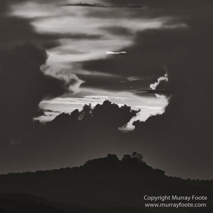 Black and White, Butterfly, Hornbill, Infrared, Landscape, Monochrome, Nature, Orang Utan, Photography, Pig Tailed Macaques, Proboscis Monkey, Sabah, Street photography, Tarsier, Wilderness, Wildlife