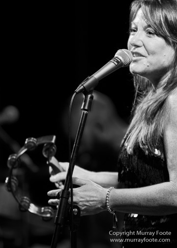 Australia, Blues, Canberra, Canberra Blues Society, International Blues Day, Live Music, Photography, Travel