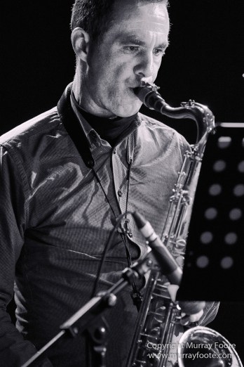 Australia, Blues, Canberra, Canberra Blues Society, International Blues Day, Live Music, Photography, Travel