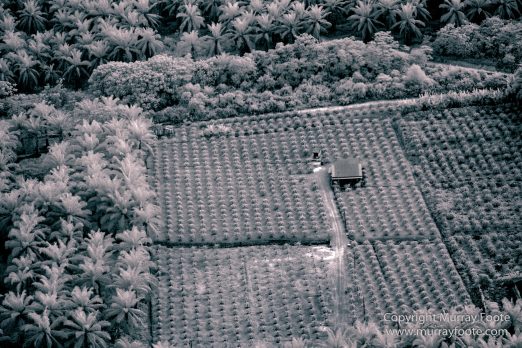 Aerial Photography, Black and White, Clouds, Infrared, Landscape, Nature, Photography, Sabah, Wilderness