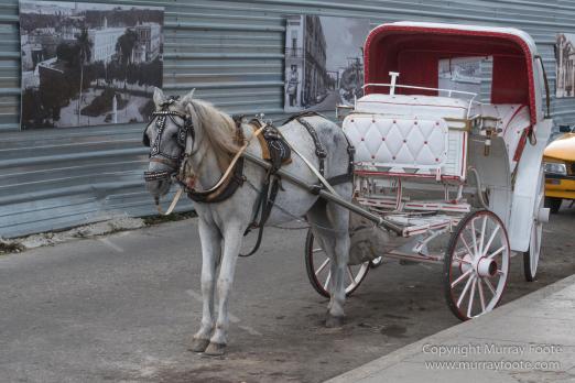 Architecture, Art, Cars, Cuba, Dawn, Havana, Live Music, Museo de Arte Colonial, Photography, Street photography, Travel