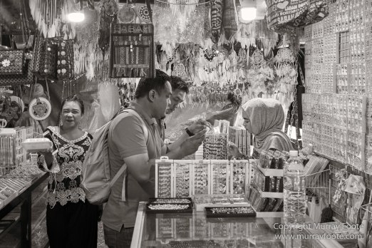 Black and White, Butterfly, Hornbill, Infrared, Landscape, Monochrome, Nature, Orang Utan, Photography, Pig Tailed Macaques, Proboscis Monkey, Sabah, Street photography, Tarsier, Wilderness, Wildlife