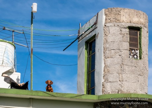 Architecture, Art, Cars, Cuba, Edsel, Fusterlandia, Havana, Mosaic, Photography, Street photography, Travel