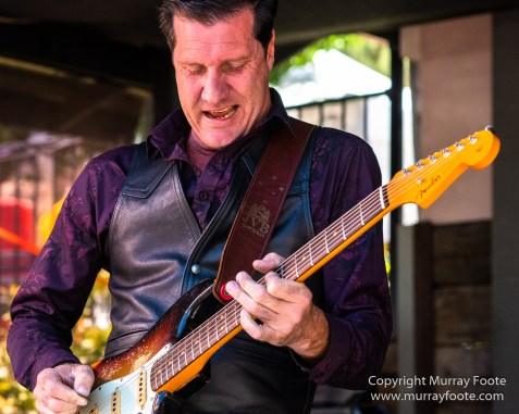 Australia, Blues, Blues Festivals, Canberra, Live Music, Photography, Red White Amber and Blues Festival, Travel