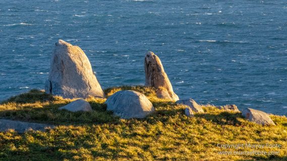 Australia, Crested Terns, Humpback whale, Landscape, Lighthouses, Montague Island, Nature, Photography, Sea Eagle, Seal, seascape, Travel, Wilderness, Wildlife