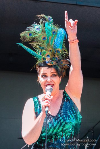 Australia, Blues, Blues Festivals, Canberra, Live Music, Photography, Red White Amber and Blues Festival, Travel