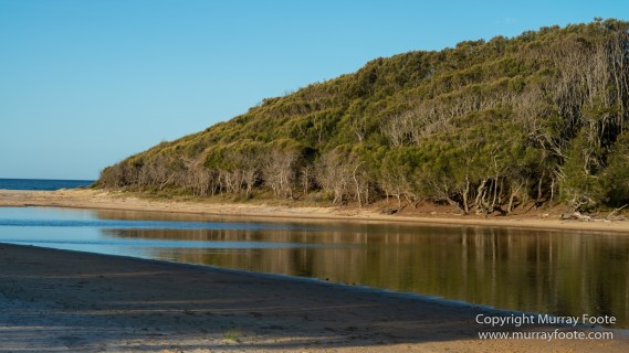 Australia, Crested Terns, Humpback whale, Landscape, Lighthouses, Montague Island, Nature, Photography, Sea Eagle, Seal, seascape, Travel, Wilderness, Wildlife