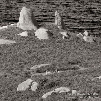 Australia, Crested Terns, Landscape, Lighthouses, Macro, Montague Island, Nature, Photography, seascape, Travel, Whales, Wilderness, Wildlife