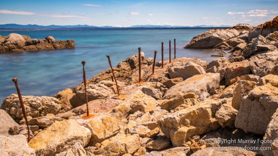 Australia, Crested Terns, Landscape, Lighthouses, Little Penguins, Macro, Montague Island, Nature, Photography, Sea Eagle, Seal, seascape, Travel, Wilderness, Wildlife