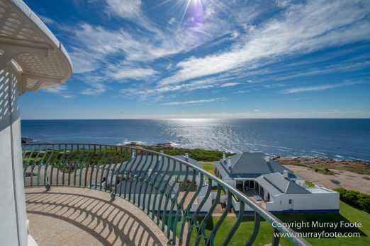 Australia, Crested Terns, Landscape, Lighthouses, Little Penguins, Macro, Montague Island, Nature, Photography, Sea Eagle, Seal, seascape, Travel, Wilderness, Wildlife