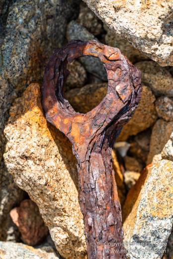 Australia, Crested Terns, Landscape, Lighthouses, Macro, Montague Island, Nature, Photography, seascape, Silver gull, Travel, Wilderness, Wildlife