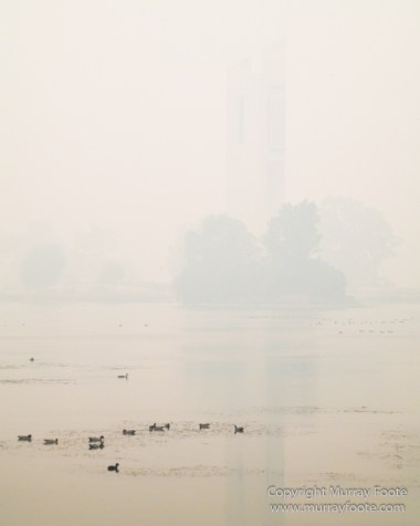 Australia, Birds, Canberra, Crimson Rosella, Cunningham's Skink, Echidna, Fires, Kangaroos, Landscape, Nature, Photography, Shingleback, Smoke, Travel, Wildlife