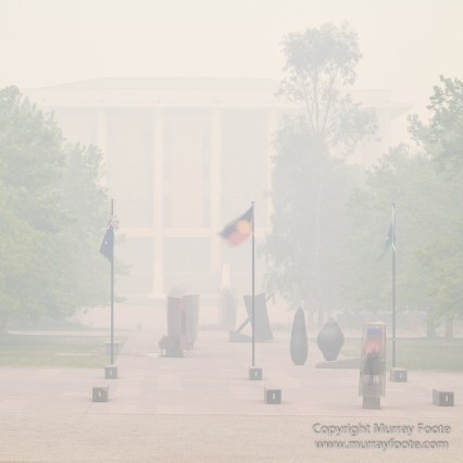 Australia, Birds, Canberra, Crimson Rosella, Cunningham's Skink, Echidna, Fires, Kangaroos, Landscape, Nature, Photography, Shingleback, Smoke, Travel, Wildlife