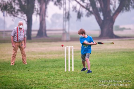 Australia, Birds, Canberra, Crimson Rosella, Cunningham's Skink, Echidna, Fires, Kangaroos, Landscape, Nature, Photography, Shingleback, Smoke, Travel, Wildlife