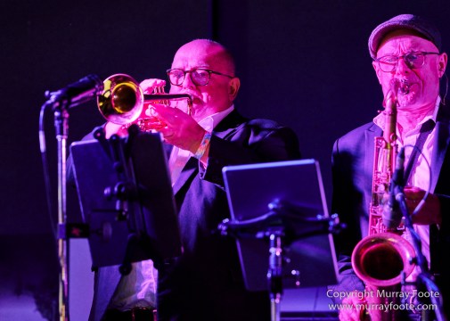 Australia, Blues, Blues Festivals, Live Music, Photography, Thredbo, Thredbo Blues Festival, Travel