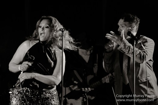 Australia, Blues, Blues Festivals, Live Music, Photography, Thredbo, Thredbo Blues Festival, Travel