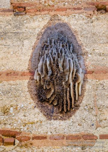 Architecture, Dominican Republic, History, Landscape, Monasterio de San Francisco, Photography, Santo Domingo, Street photography, Travel