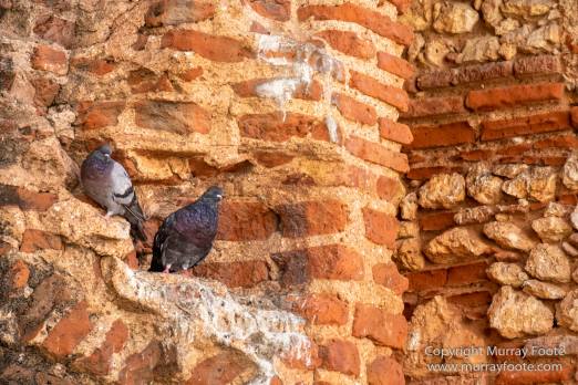 Architecture, Dominican Republic, History, Landscape, Monasterio de San Francisco, Photography, Santo Domingo, Street photography, Travel