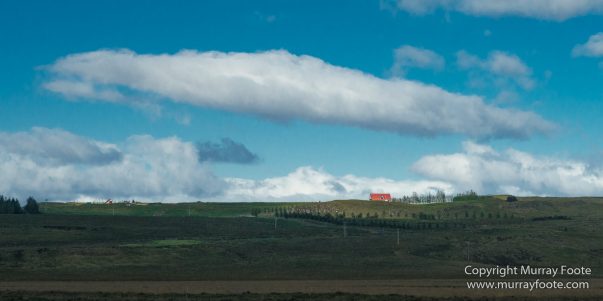 Asus Hyper M.2 x16 Card, Backup, Computer Upgrades, Computers, Equipment, Laptops, Motherboards, Photography