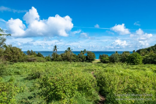 Architecture, Grand Case, Happy Bay Beach, Landscape, Maho Beach, Marigot Markets, Photography, Sint Maarten, St Martin, Street photography, Travel