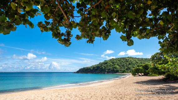 Architecture, Grand Case, Happy Bay Beach, Landscape, Maho Beach, Marigot Markets, Photography, Sint Maarten, St Martin, Street photography, Travel