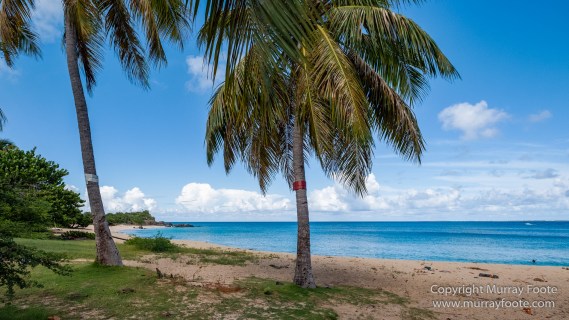 Architecture, Grand Case, Happy Bay Beach, Landscape, Maho Beach, Marigot Markets, Photography, Sint Maarten, St Martin, Street photography, Travel
