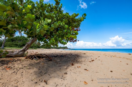 Architecture, Grand Case, Happy Bay Beach, Landscape, Maho Beach, Marigot Markets, Photography, Sint Maarten, St Martin, Street photography, Travel