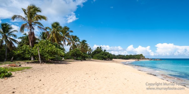 Architecture, Grand Case, Happy Bay Beach, Landscape, Maho Beach, Marigot Markets, Photography, Sint Maarten, St Martin, Street photography, Travel