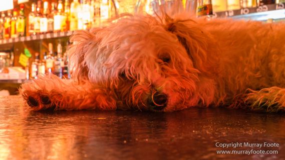 Aerial Photography, Antigua, Photography, Saint Barthelemy, seascape, Sint Maarten, St Martin, Travel