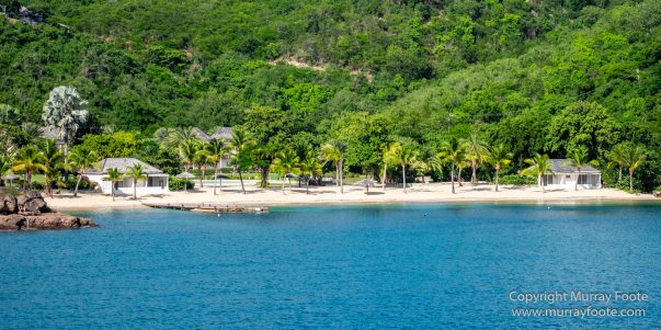 Antigua, Architecture, English Harbour, Fish, Landscape, Nature, Photography, Street photography, Travel, Wildlife