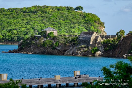 Antigua, Architecture, English Harbour, Fish, Landscape, Nature, Photography, Street photography, Travel, Wildlife
