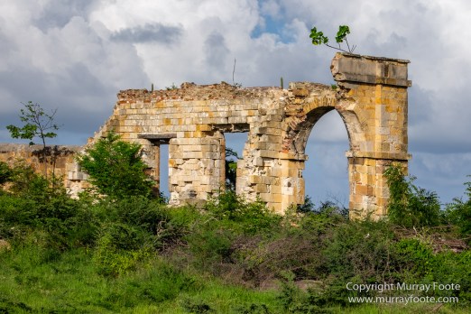 Antigua, Architecture, English Harbour, Fish, Landscape, Nature, Photography, Street photography, Travel, Wildlife