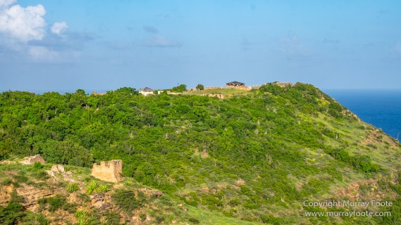 Antigua, Architecture, English Harbour, Fish, Landscape, Nature, Photography, Street photography, Travel, Wildlife