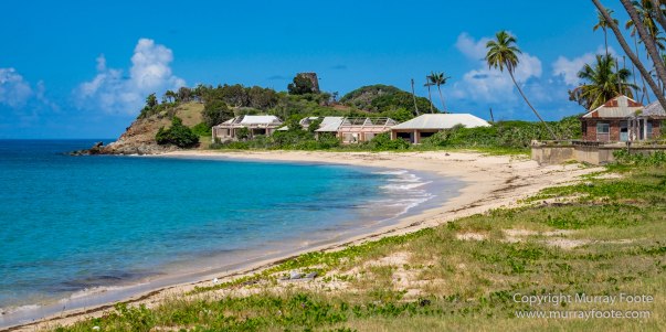 Antigua, Architecture, English Harbour, Landscape, Nature, Photography, seascape, Street photography, Travel, Wildlife