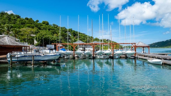 Antigua, Architecture, English Harbour, Fish, Landscape, Nature, Photography, Street photography, Travel, Wildlife