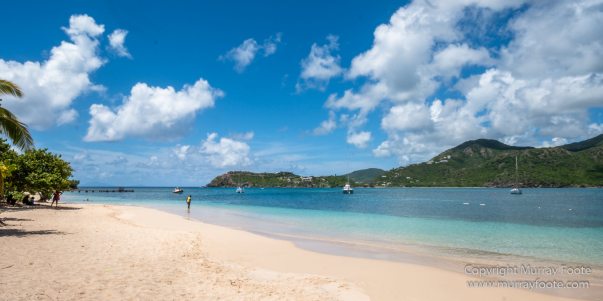 Antigua, Architecture, English Harbour, Fish, Landscape, Nature, Photography, Street photography, Travel, Wildlife