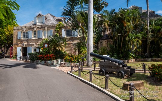 Antigua, Architecture, English Harbour, Fish, Landscape, Nature, Photography, Street photography, Travel, Wildlife