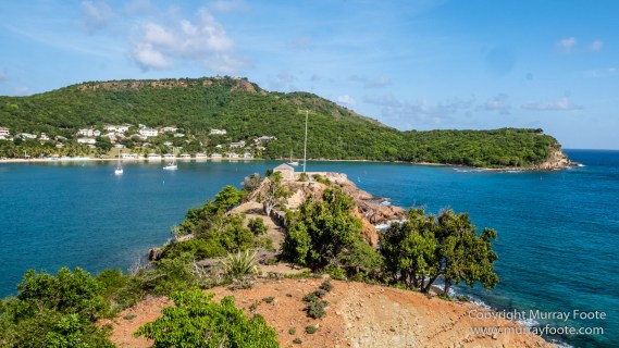 Antigua, Architecture, English Harbour, Fish, Landscape, Nature, Photography, Street photography, Travel, Wildlife