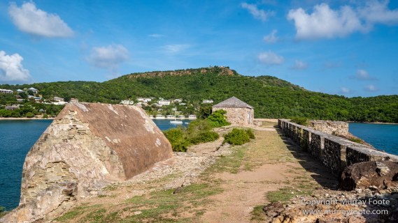 Antigua, Architecture, English Harbour, Fish, Landscape, Nature, Photography, Street photography, Travel, Wildlife