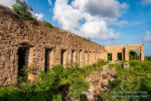 Antigua, Architecture, English Harbour, Fish, Landscape, Nature, Photography, Street photography, Travel, Wildlife