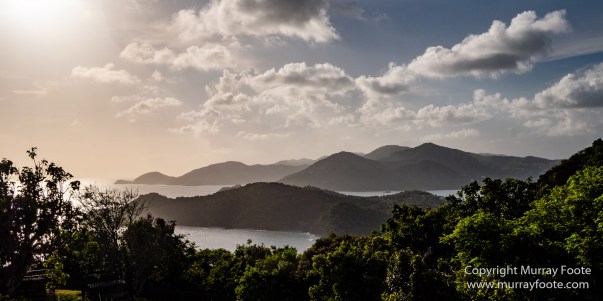 Antigua, Architecture, English Harbour, Fish, Landscape, Nature, Photography, Street photography, Travel, Wildlife