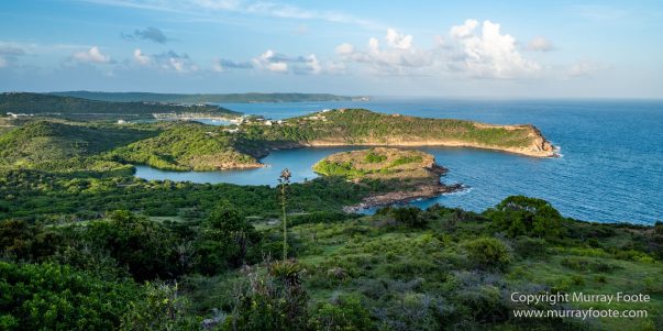 Antigua, Architecture, English Harbour, Fish, Landscape, Nature, Photography, Street photography, Travel, Wildlife