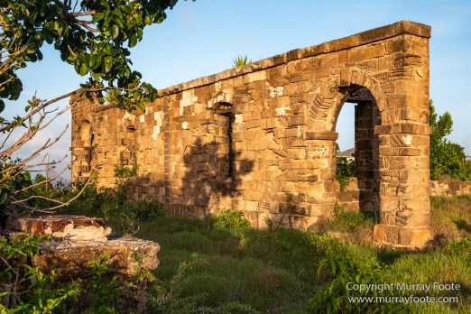 Antigua, Architecture, English Harbour, Fish, Landscape, Nature, Photography, Street photography, Travel, Wildlife