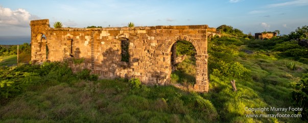 Antigua, Architecture, English Harbour, Fish, Landscape, Nature, Photography, Street photography, Travel, Wildlife