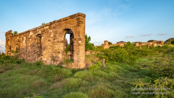 Antigua, Architecture, English Harbour, Fish, Landscape, Nature, Photography, Street photography, Travel, Wildlife