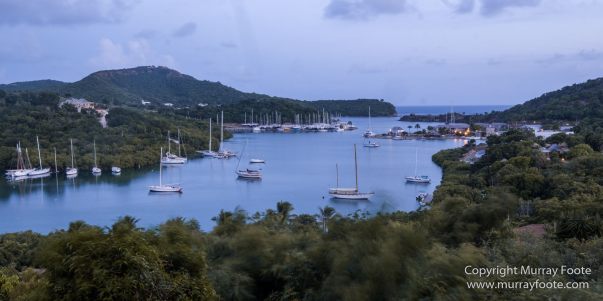 Antigua, Architecture, English Harbour, Fish, Landscape, Nature, Photography, Street photography, Travel, Wildlife